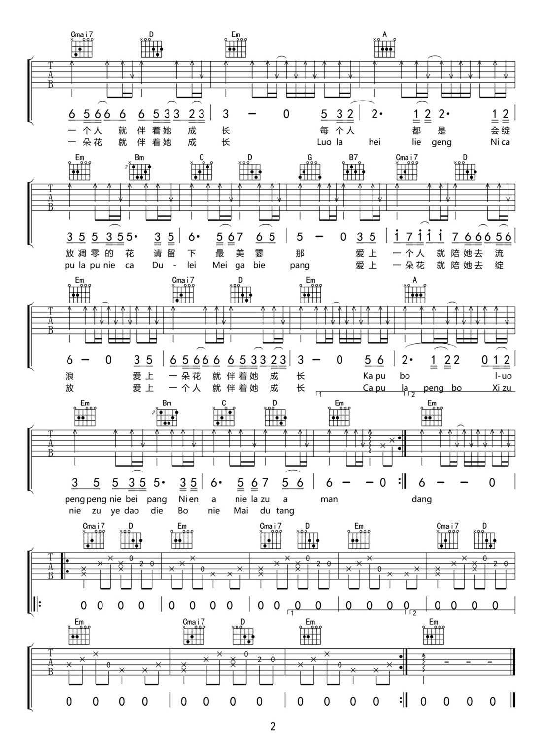 一人一花吉他譜_阿朵_C調(diào)和弦彈唱譜_圖譜2