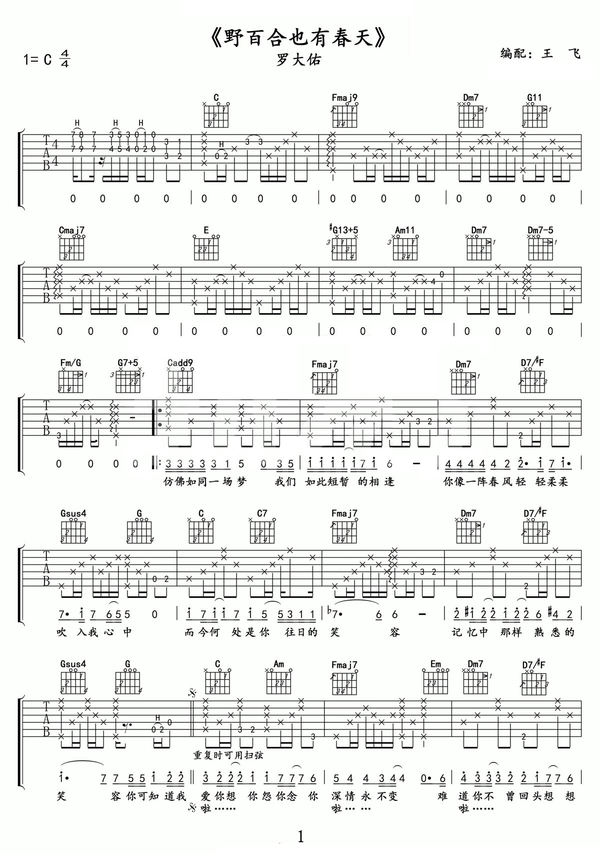 野百合也有春天吉他譜_羅大佑_C調和弦彈唱譜_完美精編_圖譜1